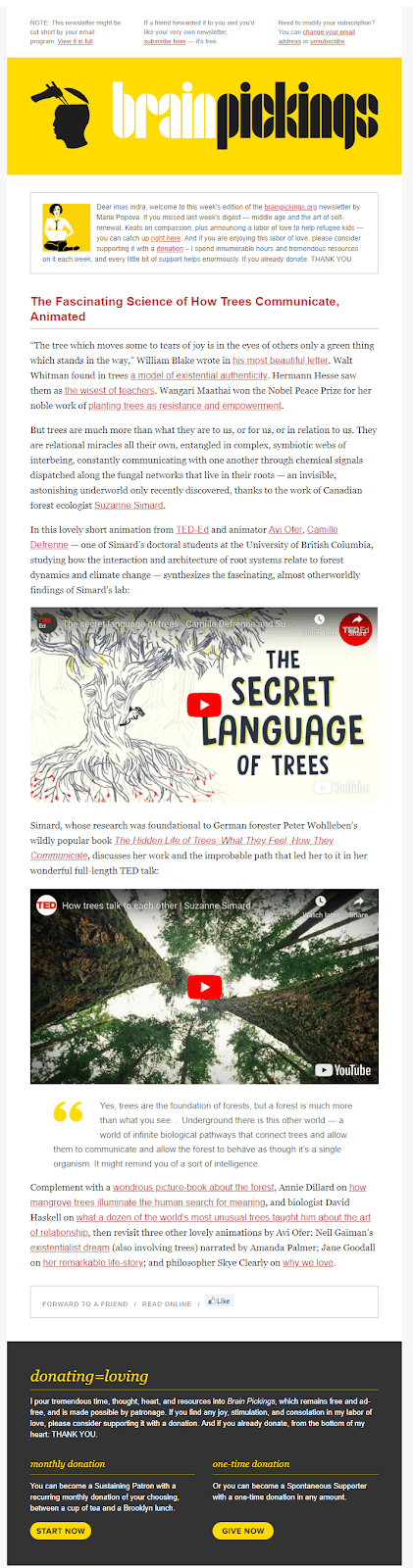 Contoh Newsletter dari BrainPickings