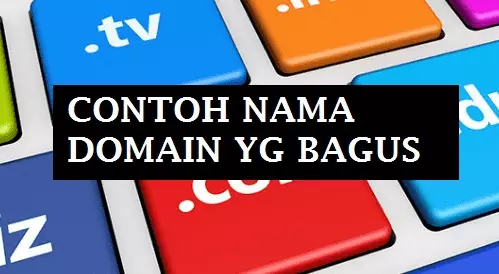 memilih nama domain