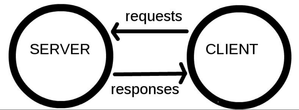 anatomi web