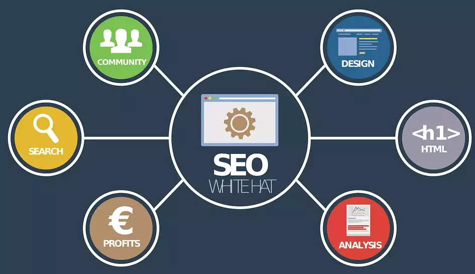 seo tools analisis website