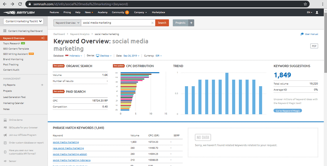 seo tools analisis website