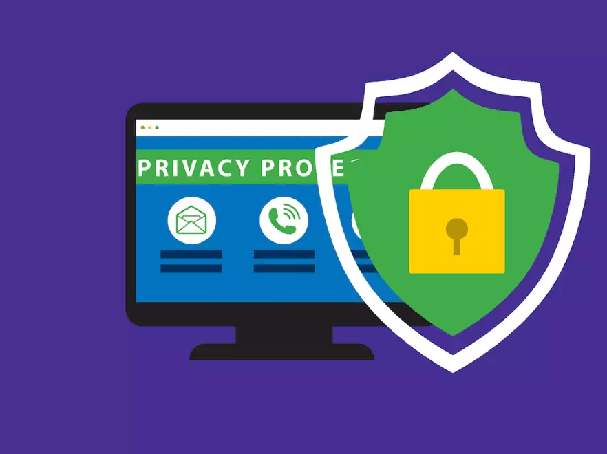 apa itu whois privacy protection