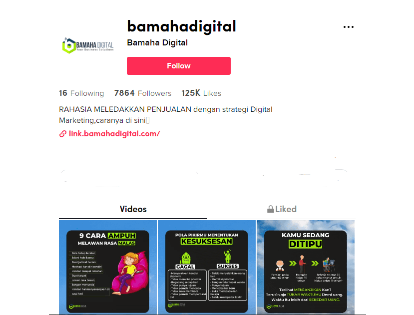 jasa kelola akun tiktok