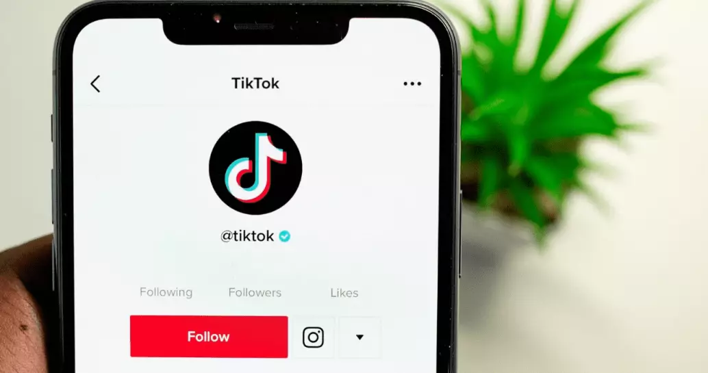 jasa kelola akun tiktok